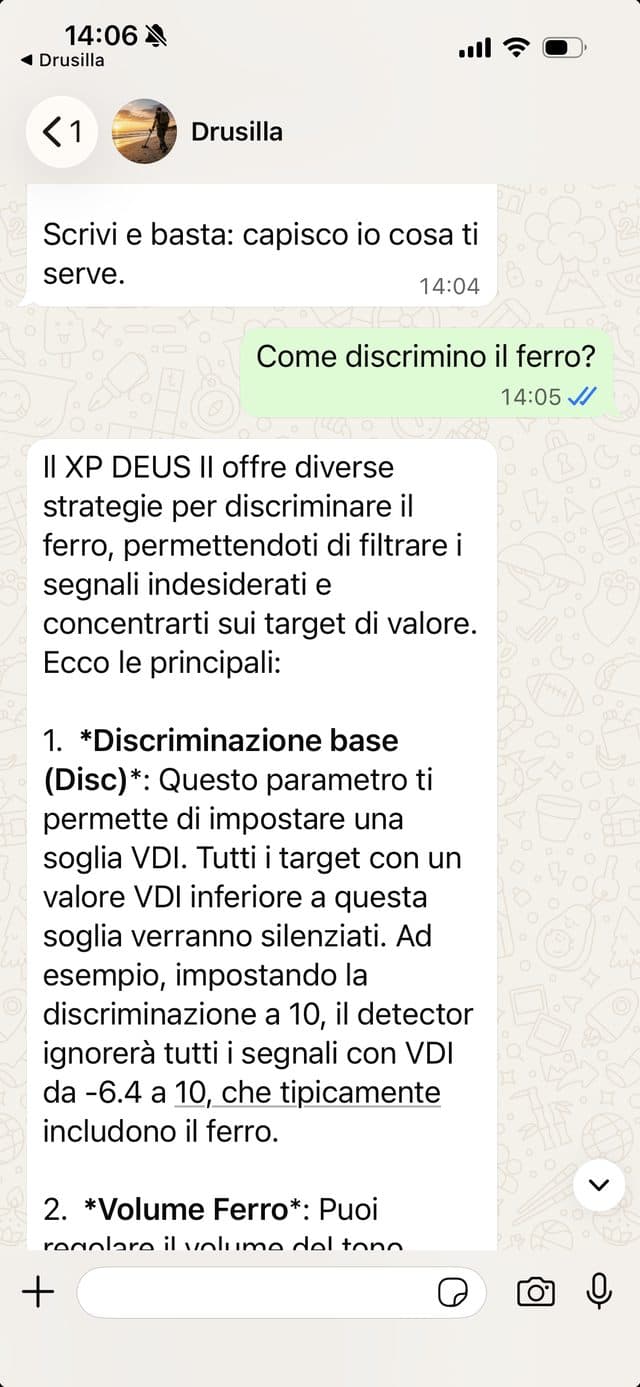 Conversazione WhatsApp: come discriminare il ferro, con la risposta sui parametri del detector